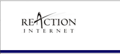 Intranet Systems by Reaction Internet
