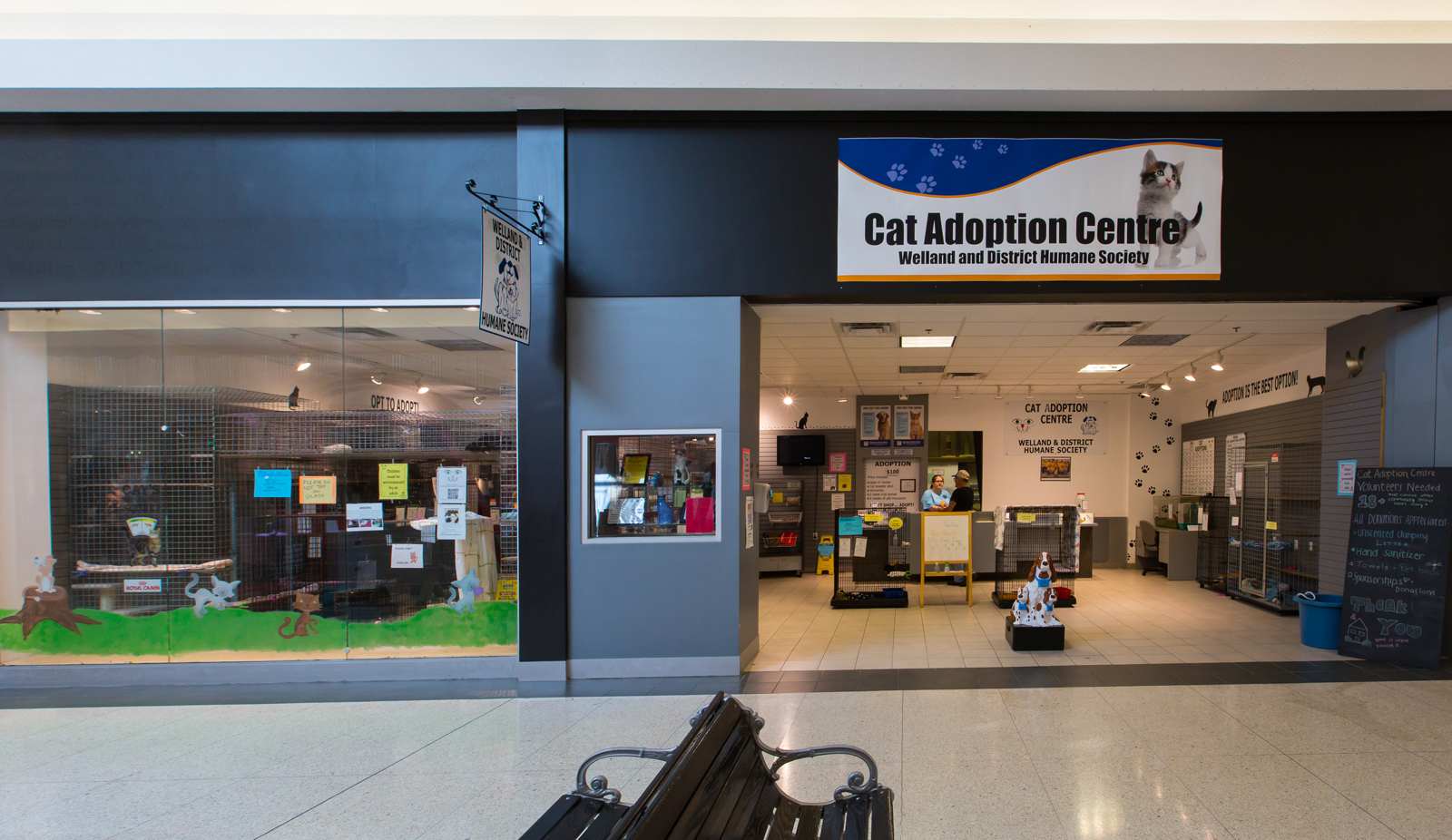Cat Adoption Centre Welland SPCA