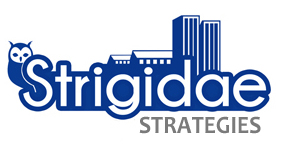 Strigidae Strategies